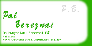 pal bereznai business card