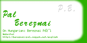 pal bereznai business card